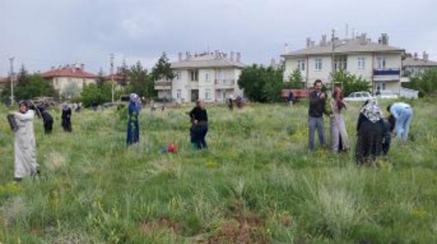 G&uuml;l Cemal Hatun Derneği, 250 Fidanı Toprakla Buluşturdu