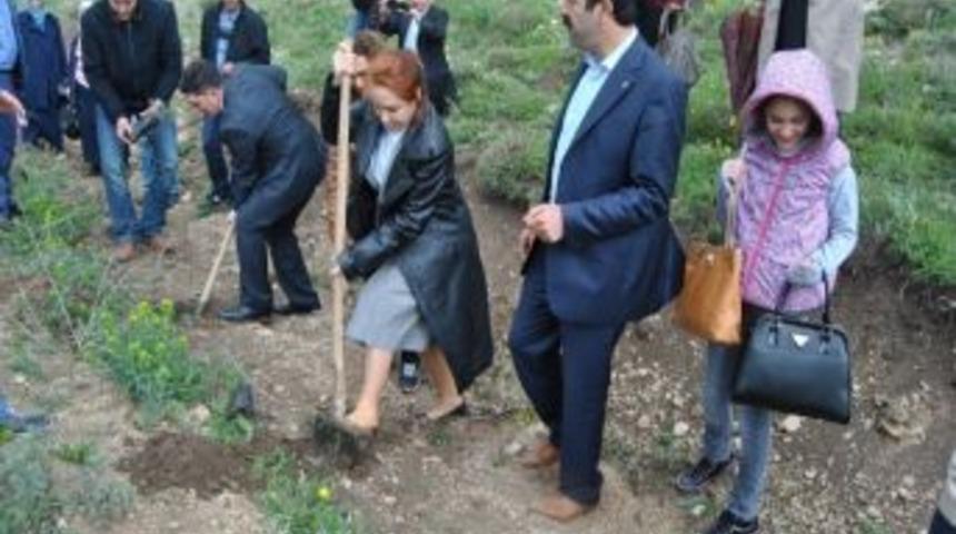 Ağrı&rsquo;da &lsquo;ak Kadınlar Ormanı&rsquo; Oluşturuldu