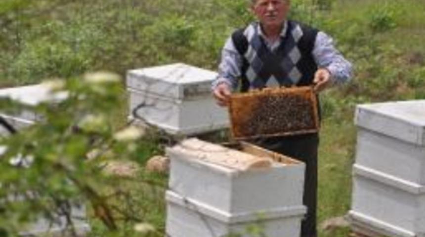 İneg&ouml;l'de Bal Bereketi