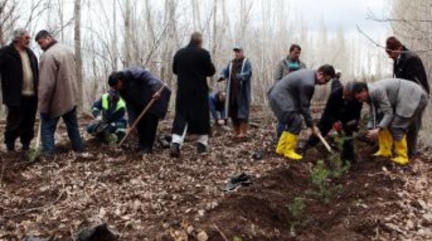 Atat&uuml;rk &Uuml;niversitesine Yeni Bir Orman