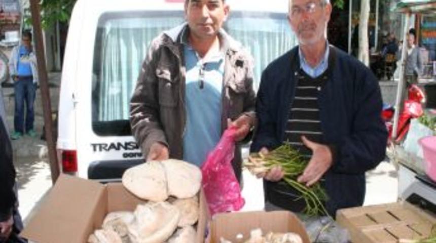 Mantar, Buğday Meydanı'nda Etten Pahalı