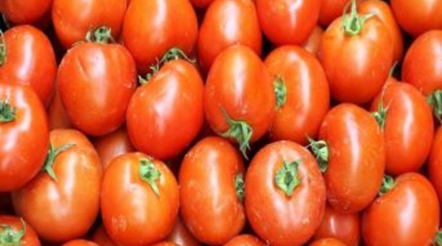 Mayıs Ayının İlk İki Haftasının Satış Rekortmeni Domates