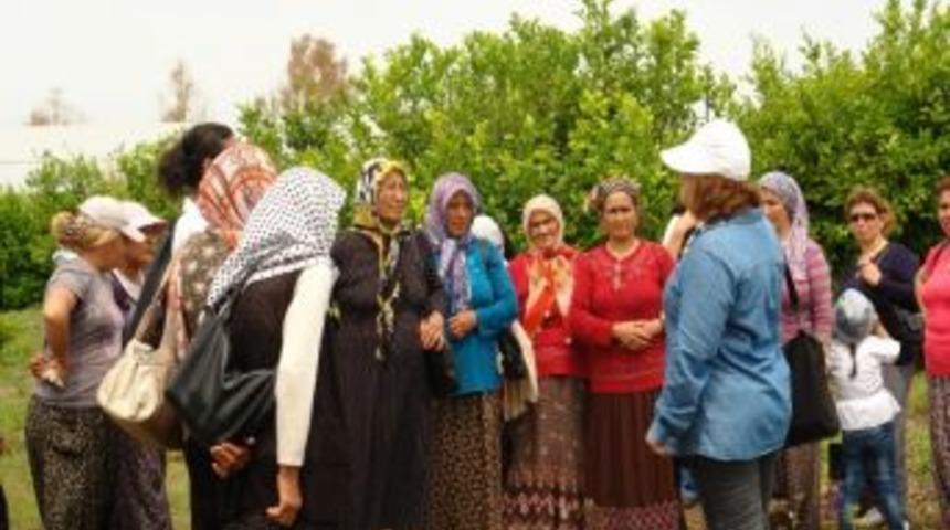 &Ccedil;ift&ccedil;i Eğitim &Ccedil;alışmalarına Devam Ediliyor