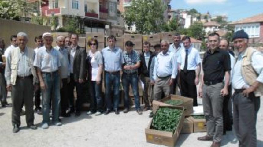 &Ccedil;ifti&ccedil;ilere Sebze Fidesi Dağıtıldı