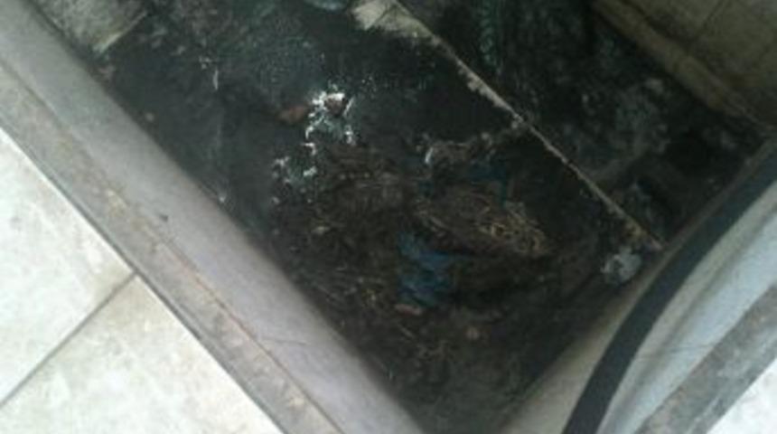 Kaski Genel M&uuml;d&uuml;r&uuml; Ender Batukan: