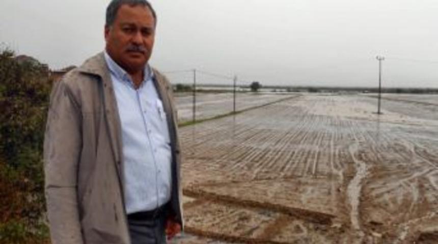 S&ouml;ke Ovası&rsquo;nda Pamuk Ekimine Yağmur Darbesi