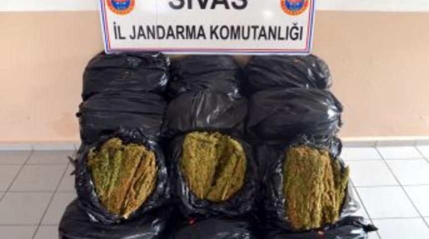 Sivas&rsquo;ta Esrar Operasyonu