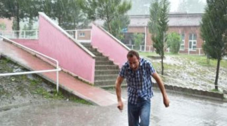 Ayvacık Doluya Tutuldu