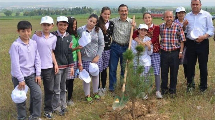 Tepebaşı Belediyesi&rsquo;nin Ağa&ccedil;landırma &Ccedil;alışmaları
