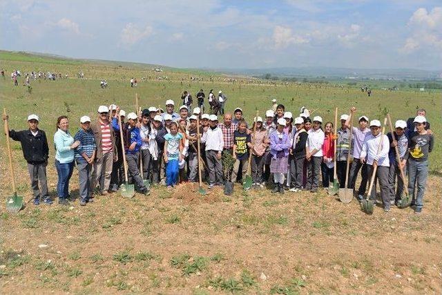 Tepebaşı Belediyesi’nin Ağaçlandırma Çalışmaları