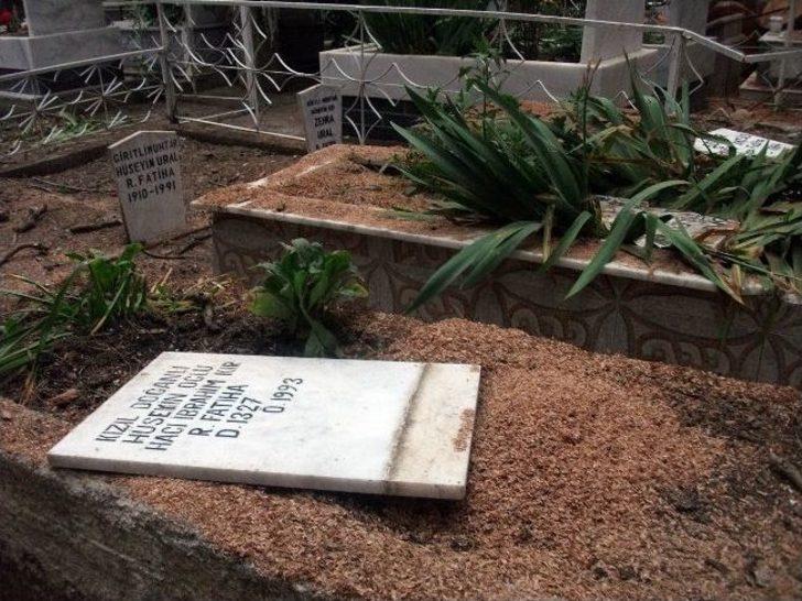 Selçuk'ta Kesilen Ağaçlar Onlarca Mezara Zarar Verdi G2