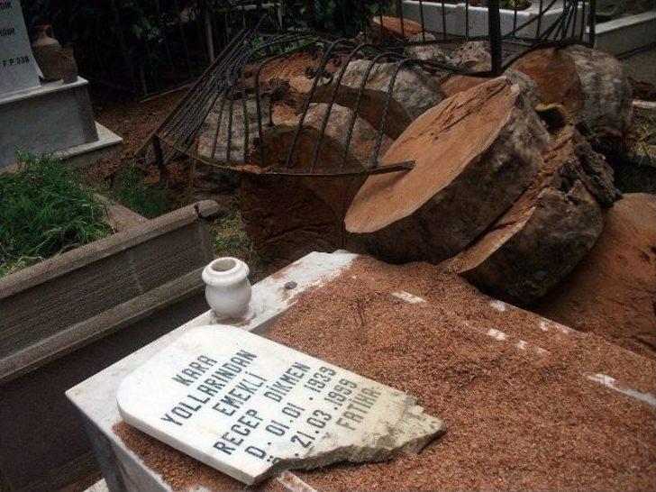 Selçuk'ta Kesilen Ağaçlar Onlarca Mezara Zarar Verdi G4