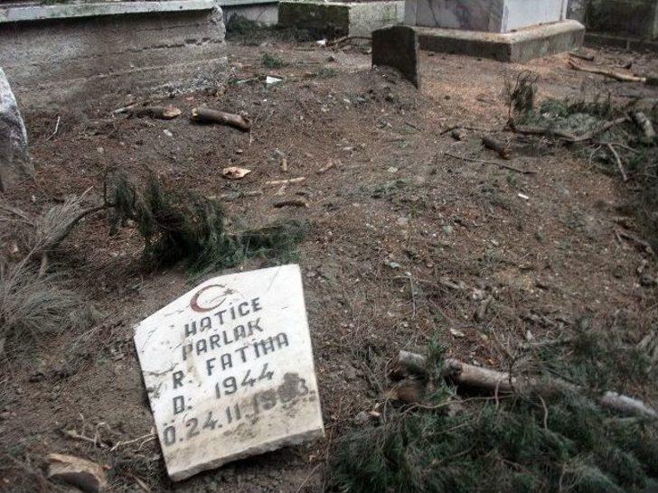 Selçuk'ta Kesilen Ağaçlar Onlarca Mezara Zarar Verdi G5