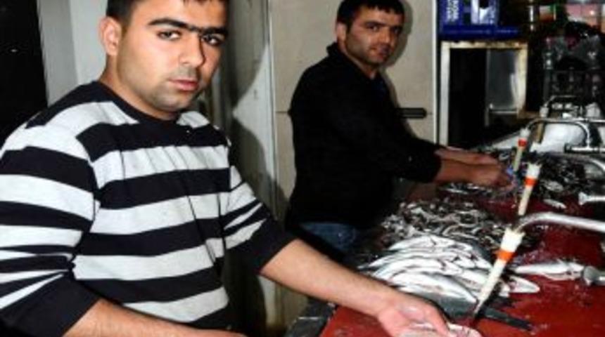 Balık Temizliğinden Kazandıkları Parayla Ge&ccedil;iniyorlar