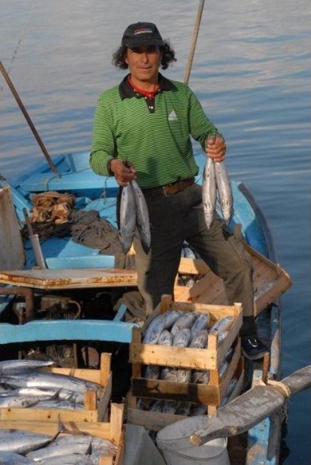 Fethiye De Amatör Balıkçılar Derneği Kongreye Gitti 1