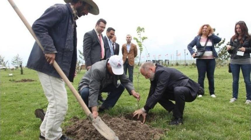 Ağrı İbrahim &Ccedil;e&ccedil;en &Uuml;niversitesi&rsquo;nde Fidan Dikimi