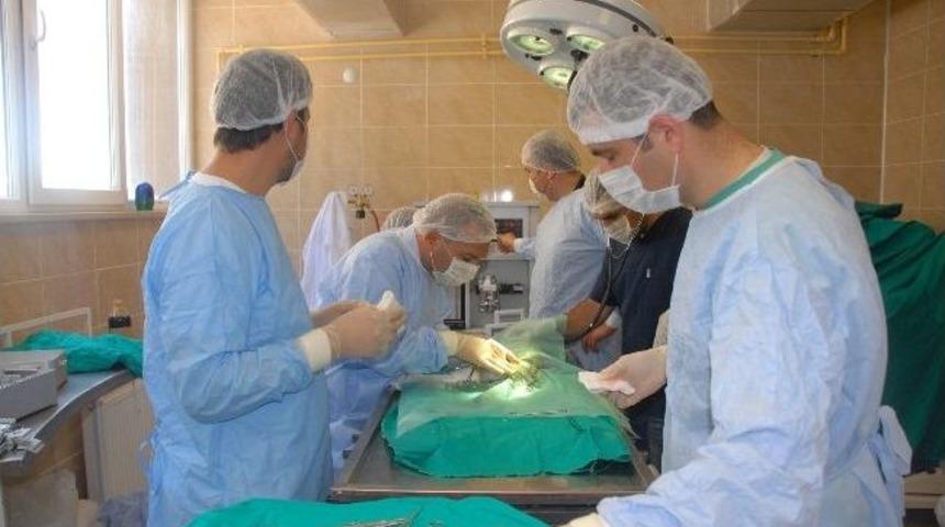 Büyükşehir'den Türkiye'ye Örnek Olacak Karar