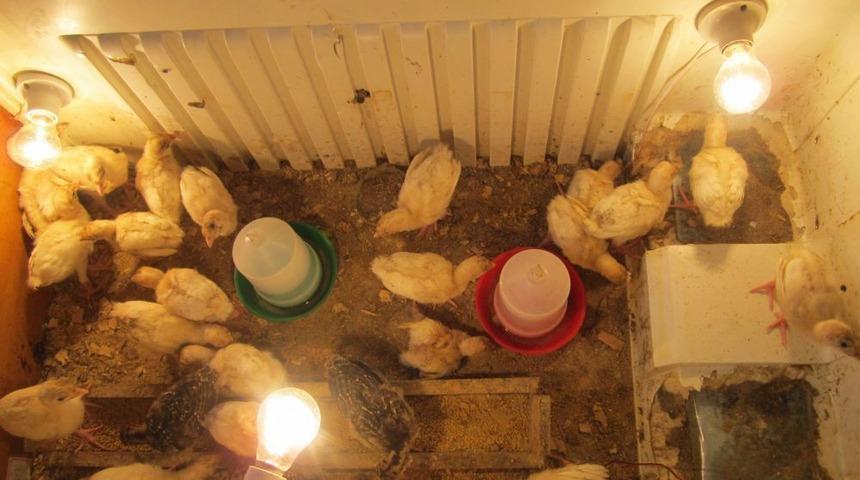 Hindi Palazı Satarak Okula Kazan&ccedil; Sağlıyorlar