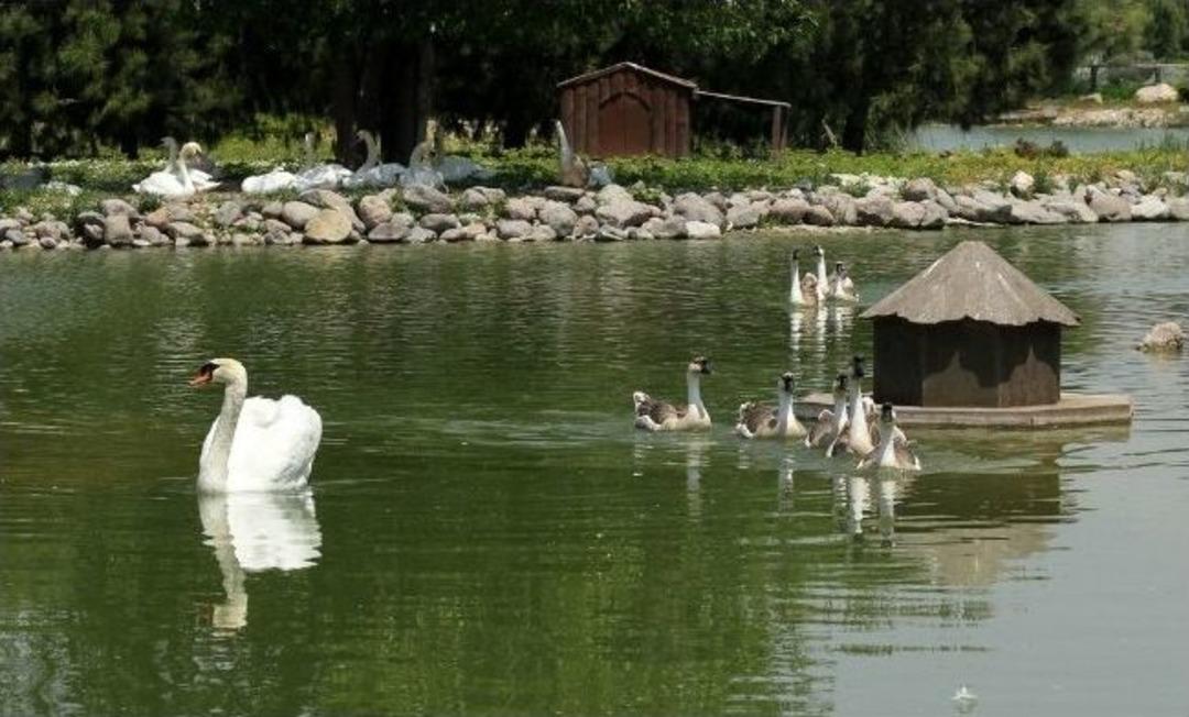 Minikler Doğal Yaşam Parkında Lisefest&rsquo;te