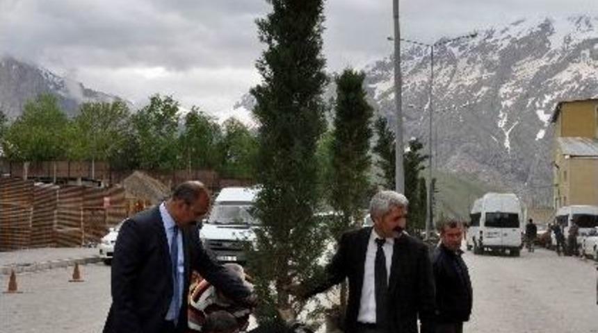 Belediyeden Yeşillendirme &Ccedil;alışması