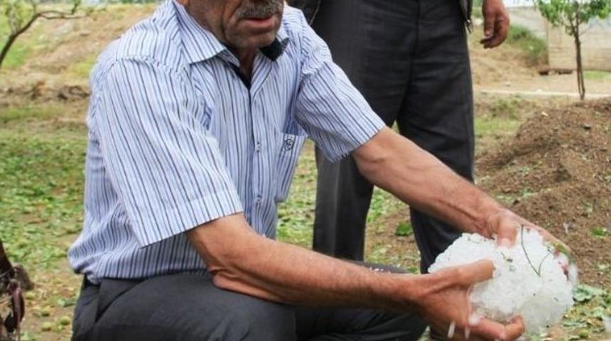 Sarıg&ouml;l, D&uuml;nya &Ccedil;ift&ccedil;iler G&uuml;n&uuml;'n&uuml; Buruk Kutladı