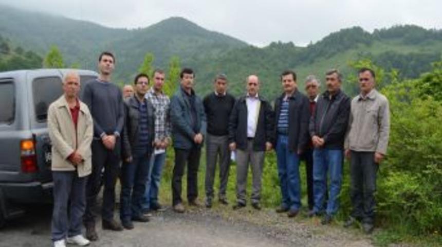 Bal Ormanında Inceleme Yapıldı