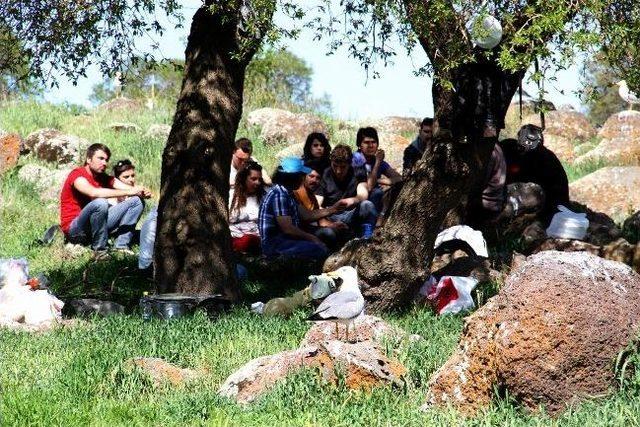 Doğada Yaban Hayatı Tanıma Dersi