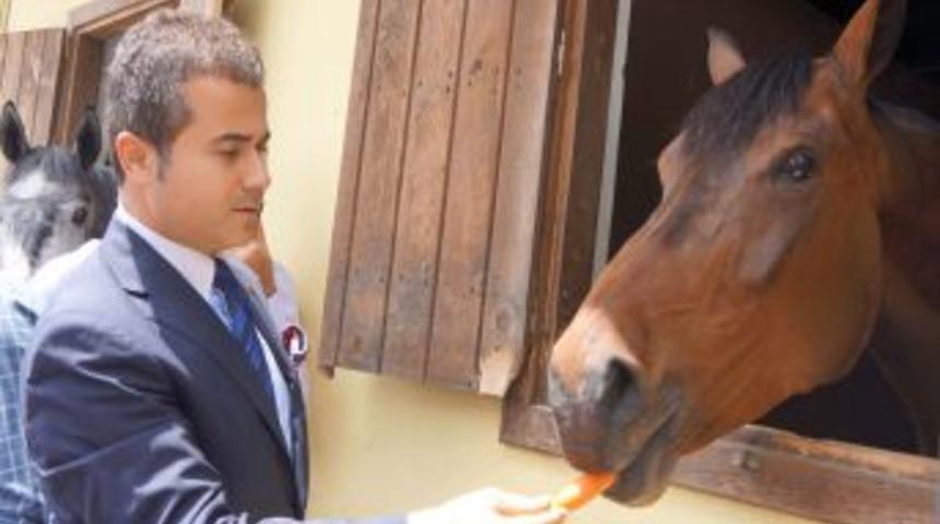 19 Mayıs'taki Halk Konserleri Iptal Edildi