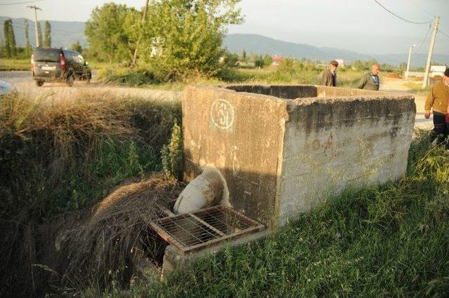 Orhangazili Çiftçiler Susuz Kaldı