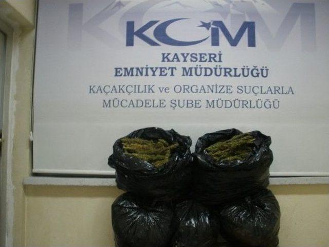 Kayseri’de 28 Kilo Esrar Ele Geçirildi