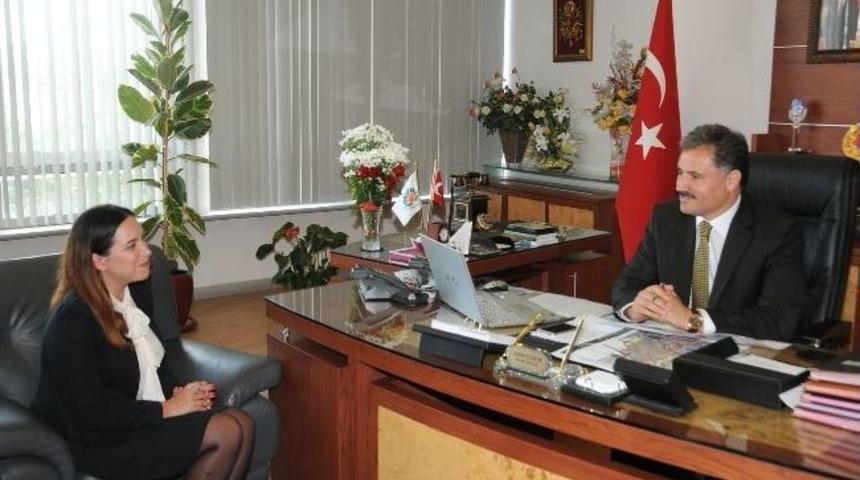 Hibe &Ccedil;ağrısına Katılım İstemi