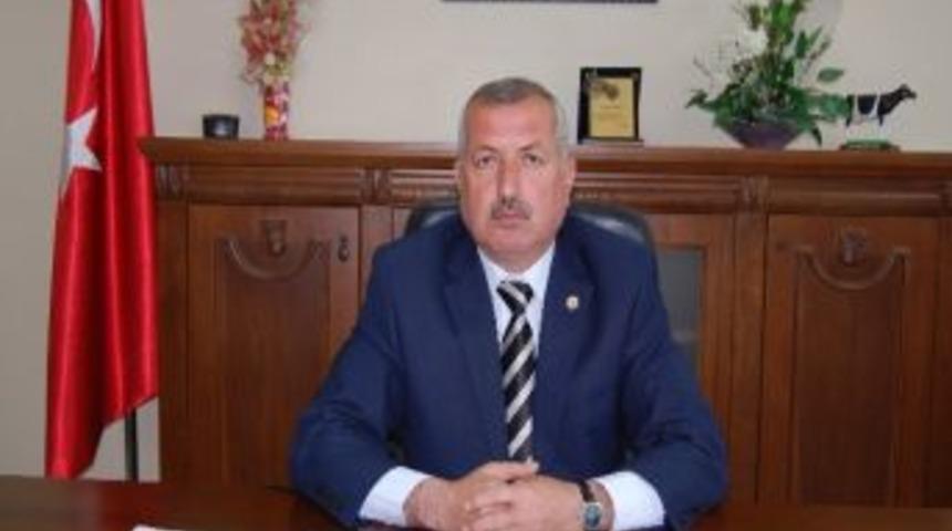 Yağışlar Rekolte Ve Kaliteyi Arttırdı