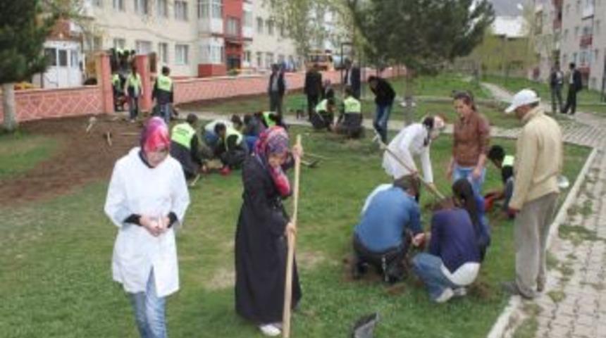 &Uuml;niversiteli Gen&ccedil;ler Fidan Dikti