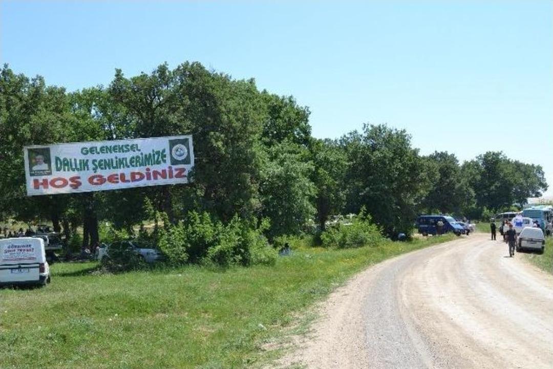 Keşan Ve Mecidiye Beldesi&rsquo;nin Dallık Şenlikleri Neşeli Ge&ccedil;ti