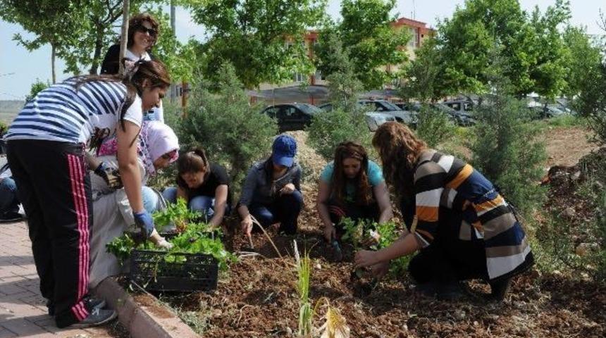 Daha Yeşil Bir &Uuml;niversite &Ccedil;alışması