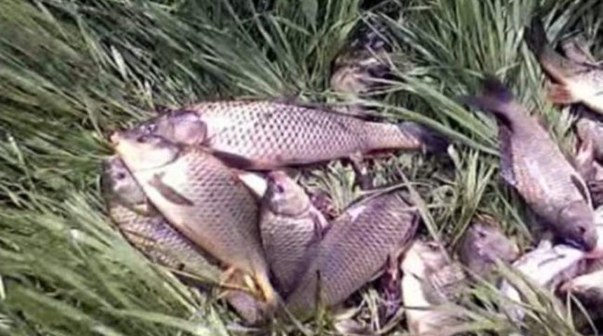 Kars&rsquo;ta Balık Avı Yasağı Başladı