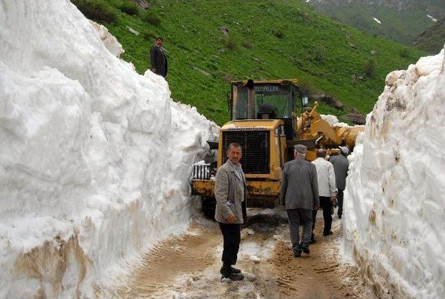 Baharda Karla Mücadele Çalışması 1