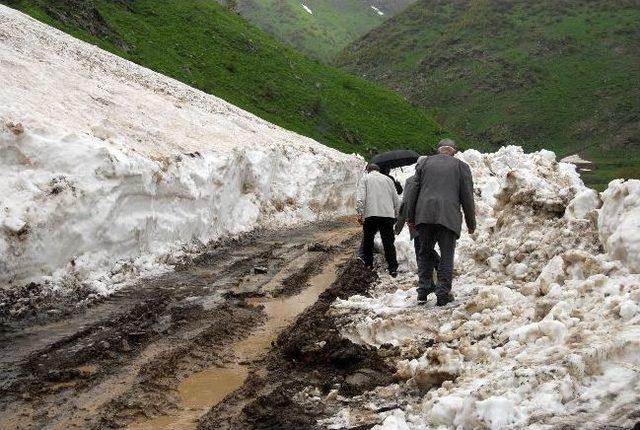 Baharda Karla Mücadele Çalışması 2
