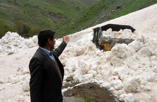 Baharda Karla M&uuml;cadele &Ccedil;alışması 3