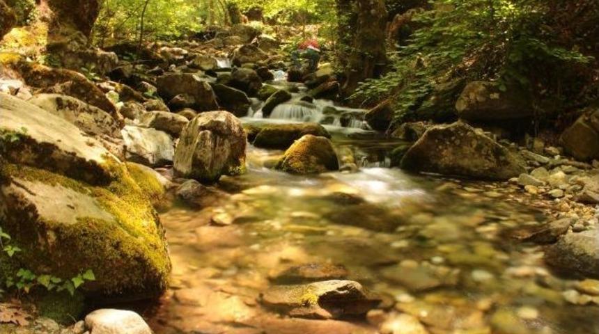 Kaz Dağlarına Bilgilendirme Gezileri Başladı