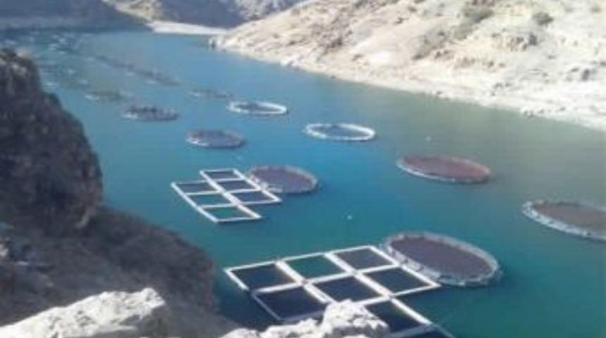 Elazığ Balık &Uuml;retiminde T&uuml;rkiye birincisi