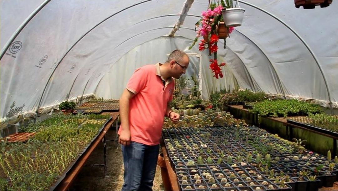 Bereket Ailesinin Kakt&uuml;s Sevdası 'bereket' Getirdi