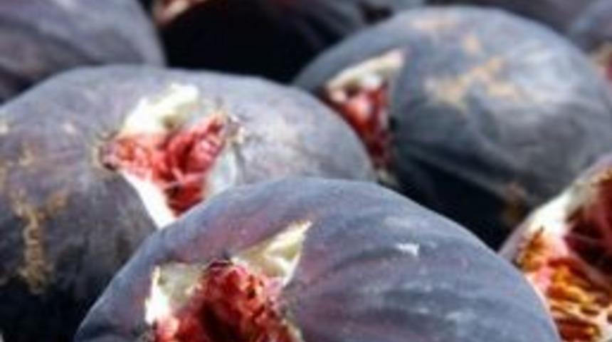 Siyah İncir Hamileler İ&ccedil;in Şifa Kaynağı