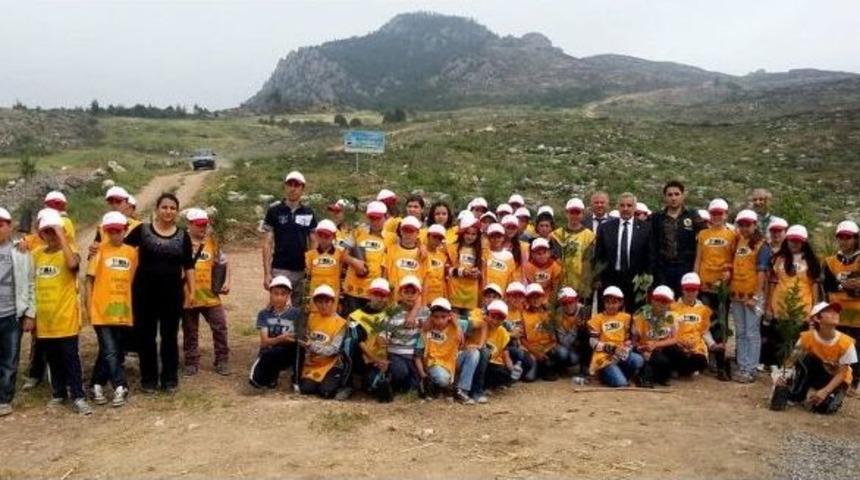 Yanan Ormanı Yeşillendirdiler
