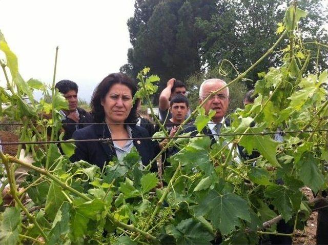 Chp Manisa Milletvekili Sakine Öz Çiftçiler İçin Kanun Teklifi Verdi