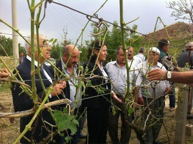 Chp Manisa Milletvekili Sakine Öz Çiftçiler İçin Kanun Teklifi Verdi