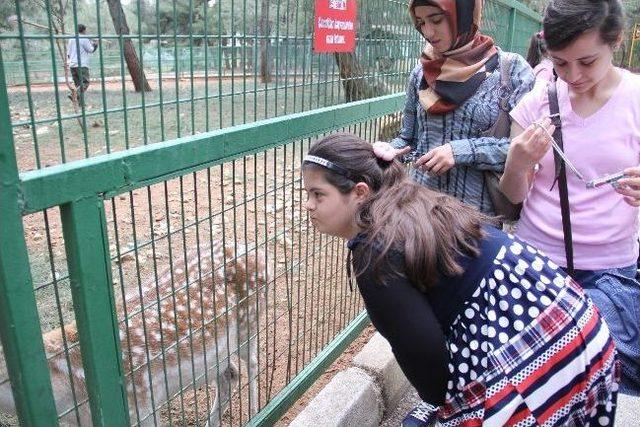 Engelli Gençler Gaziantep'de