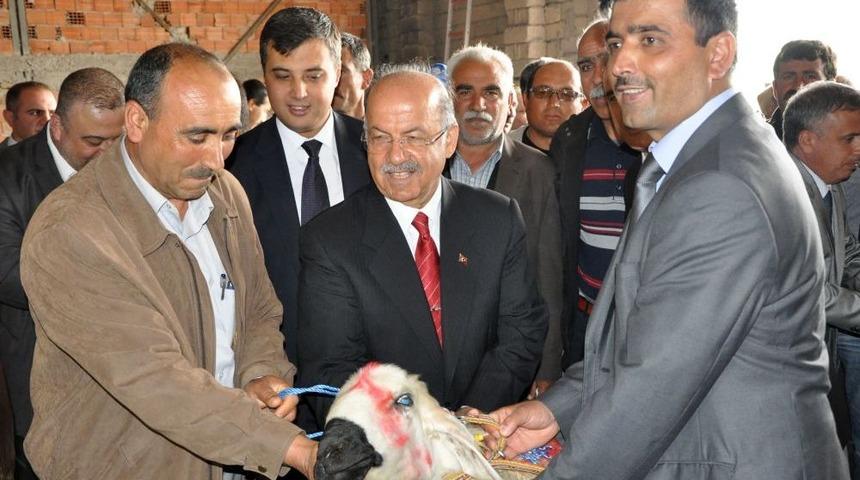 Kırıkkale'de Damızlık Ko&ccedil; Dağıtımı Ger&ccedil;ekleşti