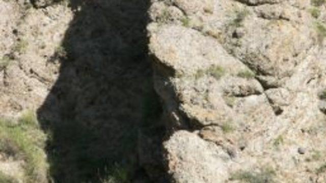 İnsan Kafasına Benzeyen Siluet Görenleri Şaşırtıyor