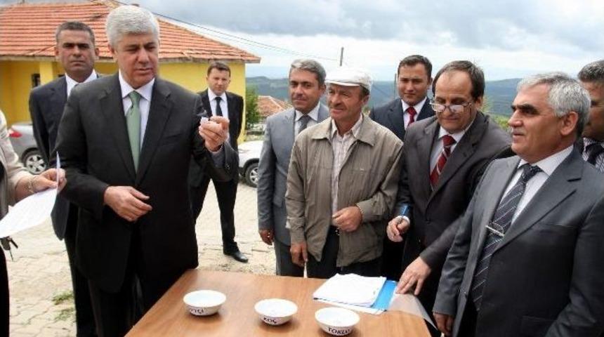 Uşak&rsquo;ta &Uuml;reticilere Damızlık Ko&ccedil; Dağıtıldı